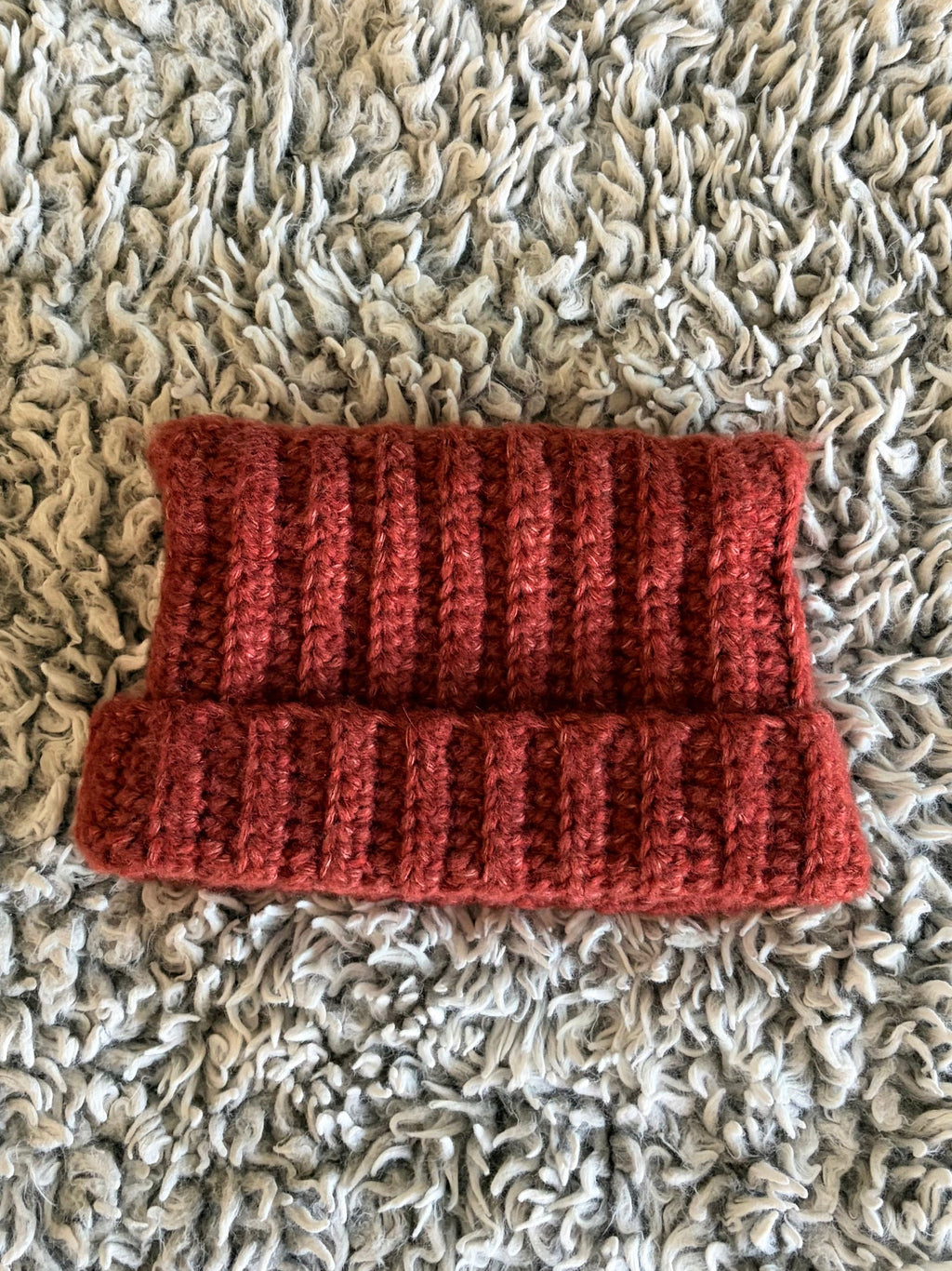 Orange (Cat Beanie)
